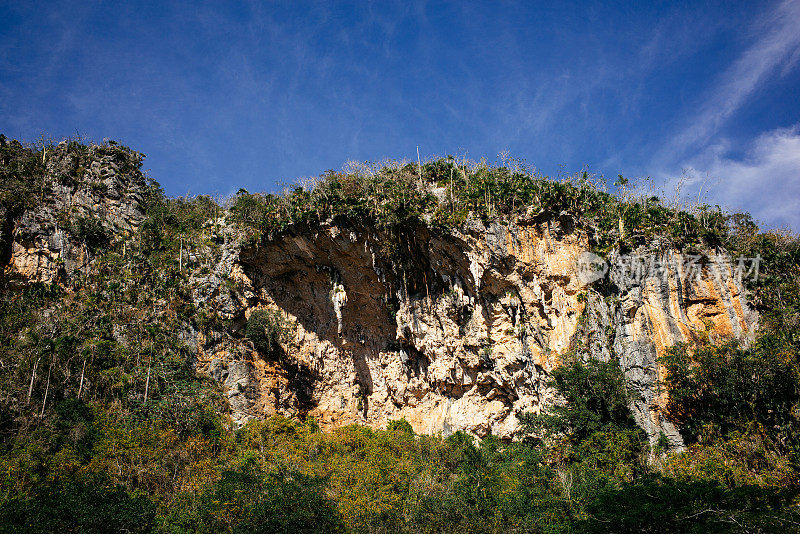 Vinales valley & las Terrazas(古巴)